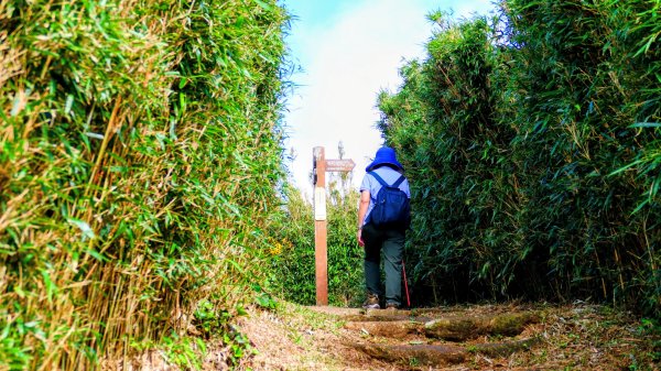 向天蝦不蝦2936822