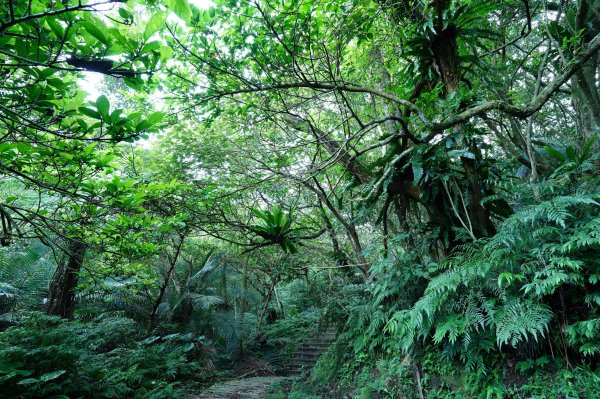 新北 石碇 皇帝殿東峰2628213