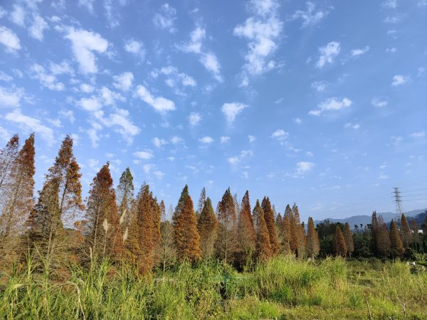 2024.01.07 橫山三叉埤、墩子銃古道2843800