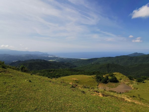 桃源谷步道(大溪、草嶺線)-滿谷牛與白鷺1033898