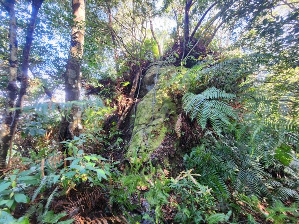 20251214石牛山柑坪山新柑坪山牛背岩2972735