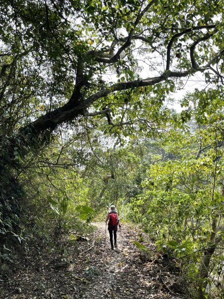 暗影山 西北稜上 南稜下 接仙女瀑布1317881
