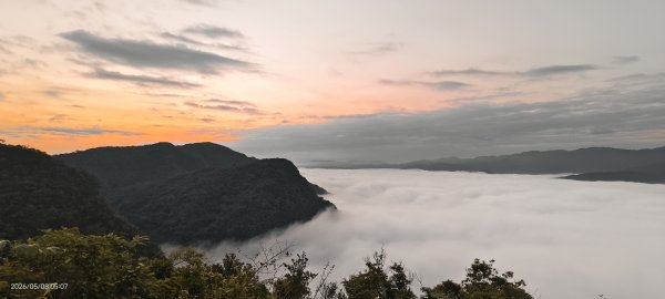 #翡翠水庫壩頂 #月亮 #日出 #雲海 #藍腹鷴母鳥 5/8&133050271