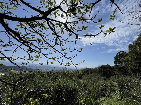 鳳鳴越嶺山佳2708076