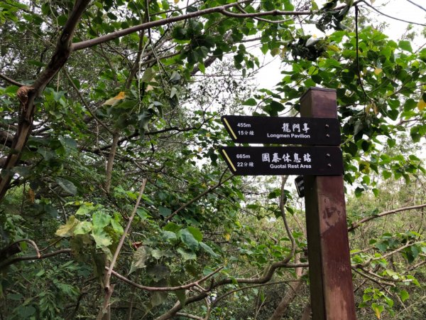 2020.04.02北柴山900720