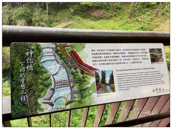 阿里山神木群棧道2771618