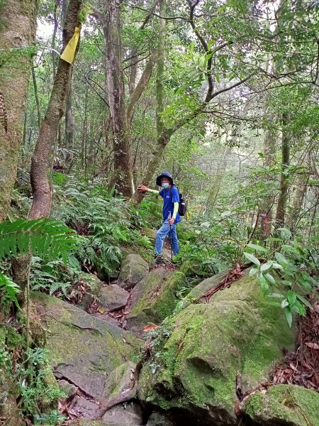 烏來美鹿山南峰→拔刀爾山→高腰山→美鹿山→美鹿山南峰1471868