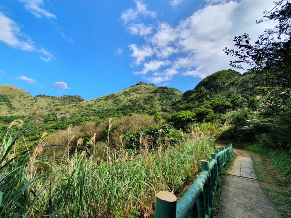 瑞芳無耳茶壺山，三峽熊空山，熊空柳杉林，成福山，十八羅漢岩，土城樟樹林步道，火焰山步道1622948