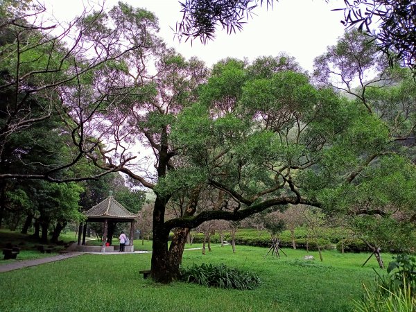 漫步陽明山前山公園→湖山綠地→橫嶺古道→湖山→半嶺步道1844844