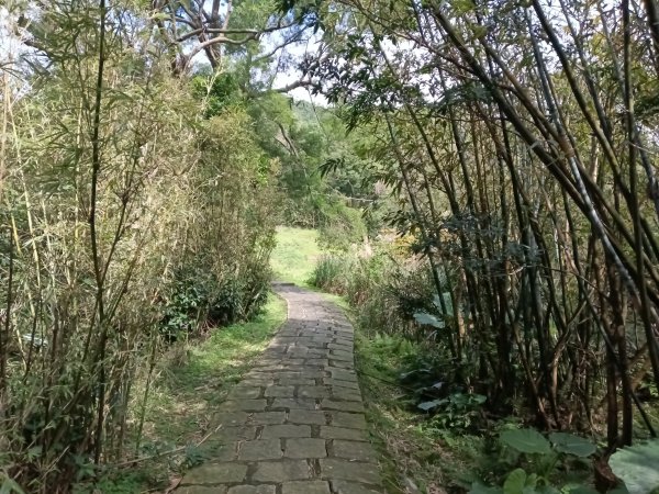 士林區礁坑橋+平溪步道+鵝尾山水田步道+大坪尾山+平菁步道O型2995886