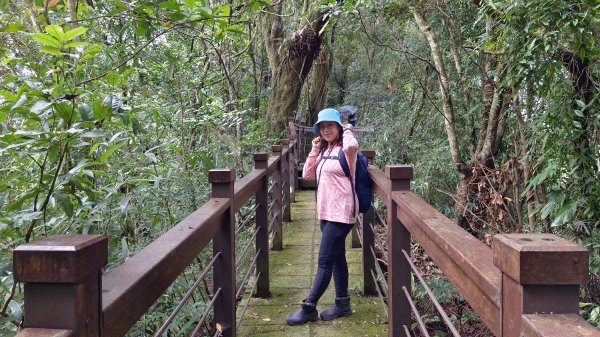 (姨婆趴趴走)第三十集:嘉義梅山太平雲梯、太平老街、太興岩茶園步道、龍王金殿2335393