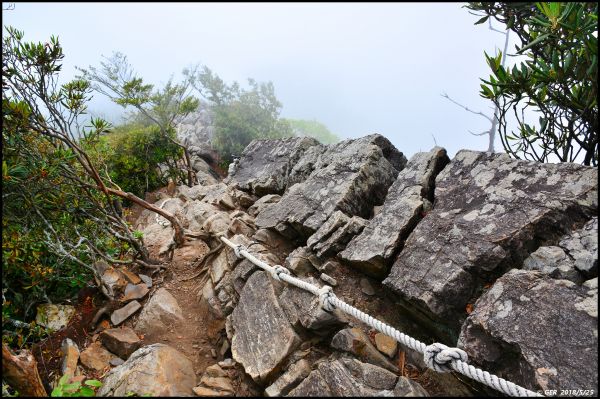 一顆大石頭 ~ 三訪鳶嘴山338626