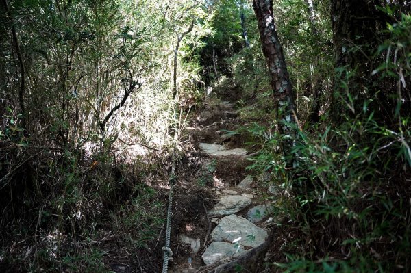 志佳陽大山2906137