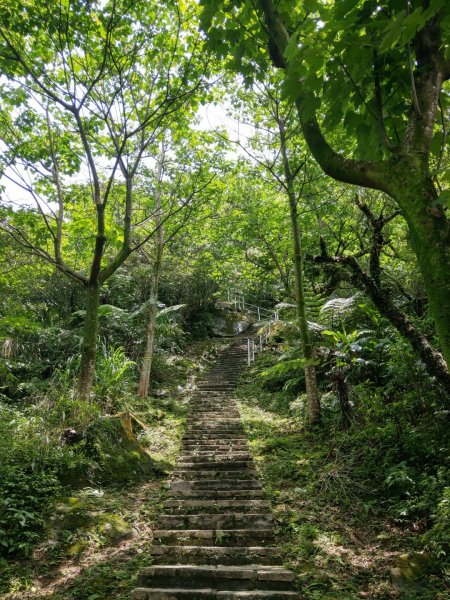 大尖山步道1006922