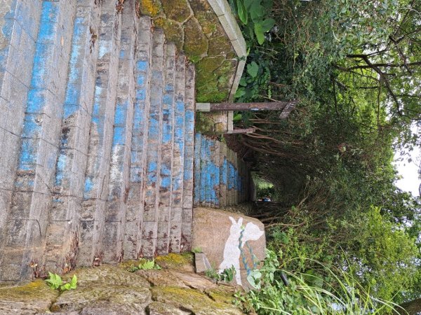 2026微笑山線筆架連峰段3103643