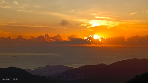 雲山水花鳥蝶 - 天龍國阿伯的日常7/18 & 21、22、292556661