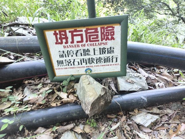 [玉山尋寶任務-07/12] 2025_0824 八通關雲龍瀑布步道2870502