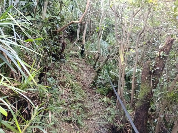 基隆市/萬里區界寮縱走之三界山+三界山西峰+開眼尖山+七分寮山+瑪七產道山泉水接水亭2979547