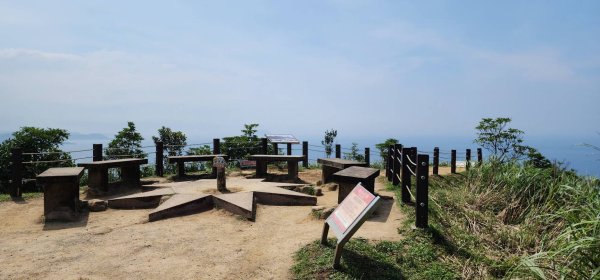 烈日當頭的南子吝2813167