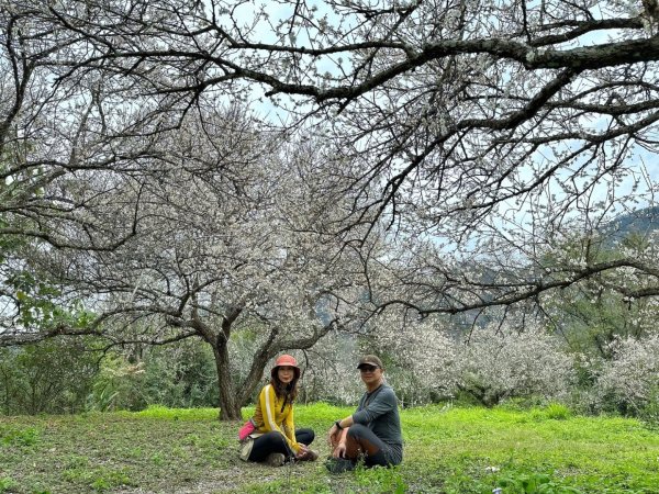 北港溪大峽谷 惠蓀林場2693046