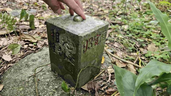 2025050151梗枋山-橋板湖山2774847