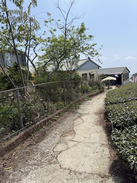 1150322雲嘉8連峰3023009