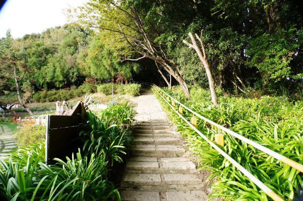 新竹 五峰 野馬瞰山2924657