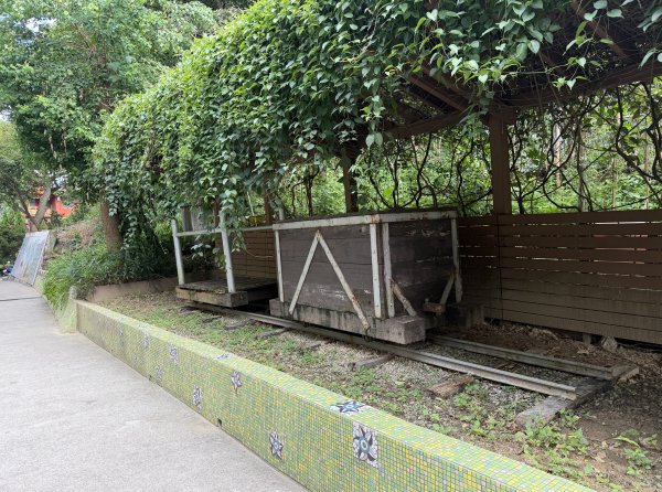 [微笑山線_第二段] 2026_0725 大棟山系_百年大榕樹3101572
