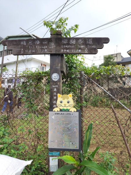 微笑山線：【二格山系】銀河洞越嶺段2959981