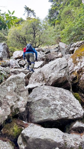 20250122 三角貓🐱遊玉山前峰玩瘋了🌀2698283