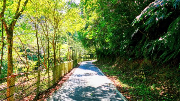 崩山坑越嶺內盤山2913764