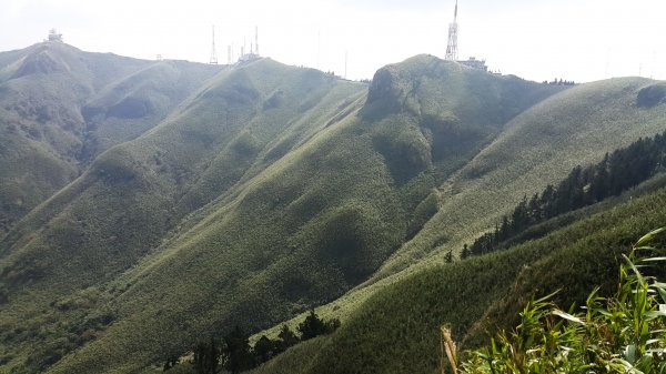 阿興阿賢小觀音山562671