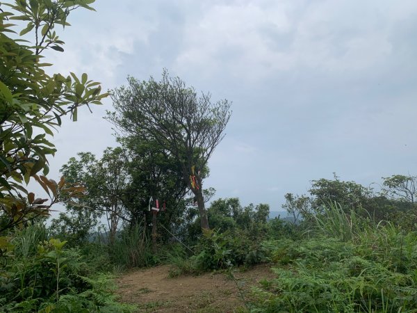 瑪陵坑群峰（七堵車站O型）2760797