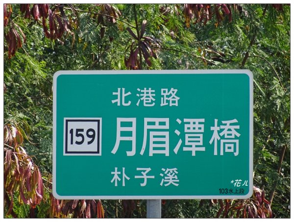 嘉義/朴子溪風鈴木874437