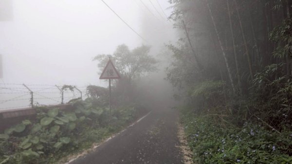 集集大山步道2886274