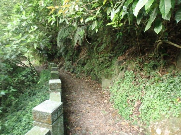 1011023金包里大路3098639