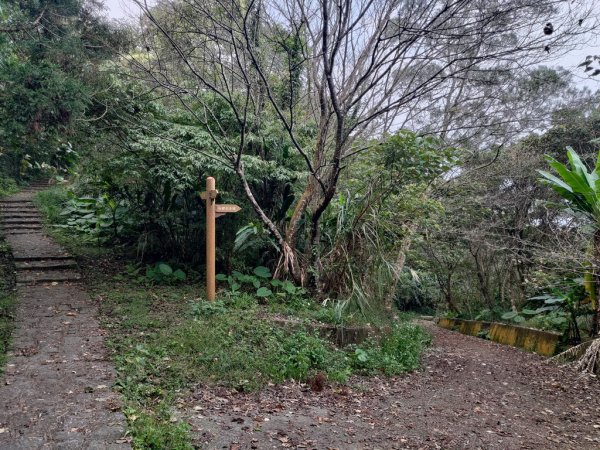 【新竹縣橫山鄉】大崎棟步道2833214