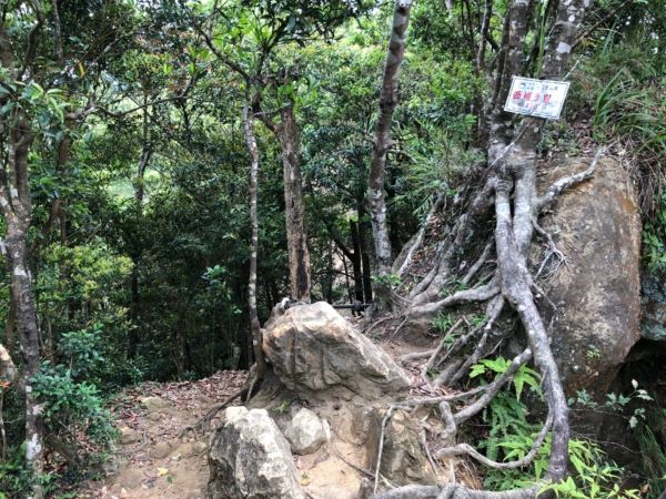 20180428 路線複雜容易迷路的筆架連峰321056