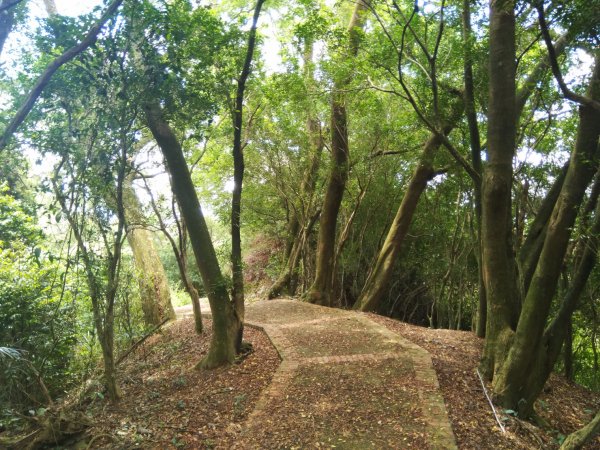 漫步十二寮登山步道、農業園區