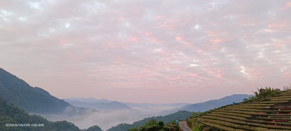 跟著雲海達人山友追雲趣-坪林南山寺&開眼崙2370521