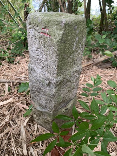 20250906台南蚵殼坑山-九層嶺-三十六崙山-洋子寮山2881496