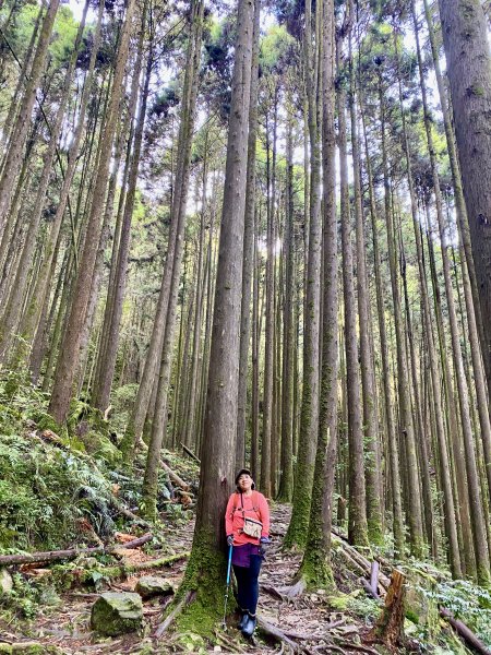 橫嶺山-沙蓮山-笛吹山連走    2022/7/51754684