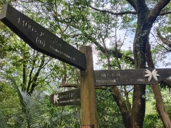 平溪區三功大厝+番子坑山+千階嶺步道O型2781178