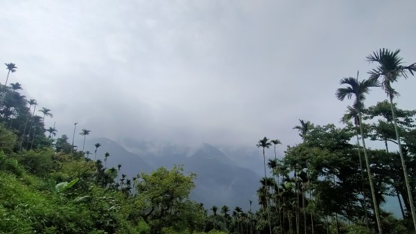 阿拔泉山/觀音石山/紅楠坑山/龜山/大巃頂西北峰/大巃頂/竹松梅步道/獨立山 環狀1718304