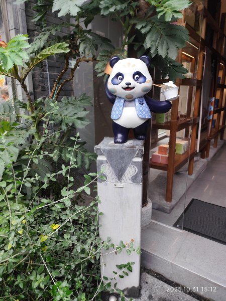 四川成都寬窄巷子、太古里、川劇變臉2940948