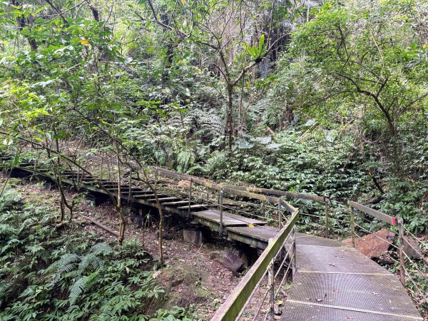 鯉魚山步道群2728325
