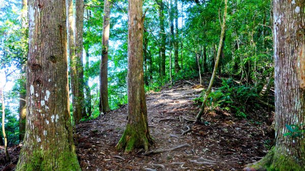 油羅山(一上三下)2959134