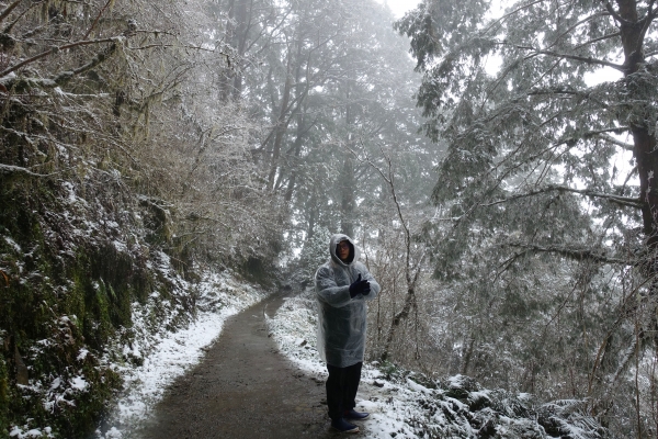 下雪。見晴懷古步道2018.02.03263937