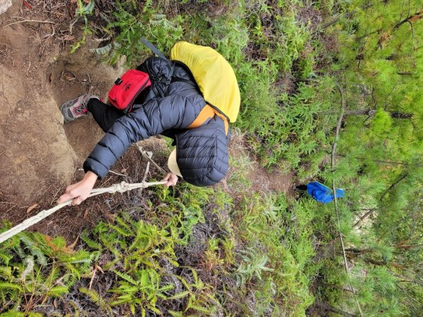 大砲岩-石壇山-八頭山-湯守岩-丹鳳山-202412222859777