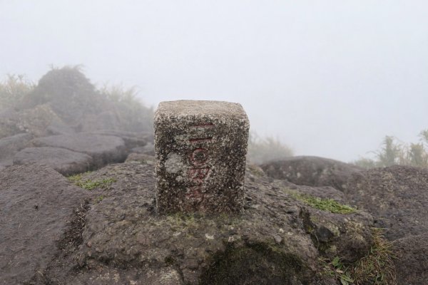 台北 北投 七星山主東峰苗圃線3004605